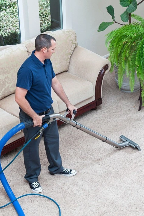 Carpet Cleaning Services Burwood